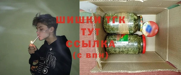 индика Сатка
