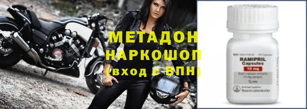 индика Сатка