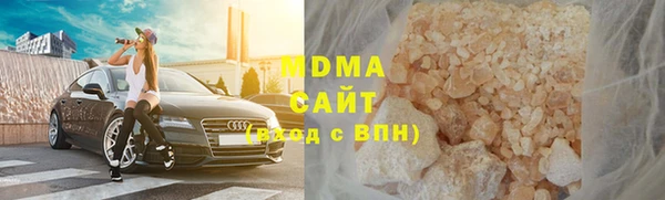 индика Сатка