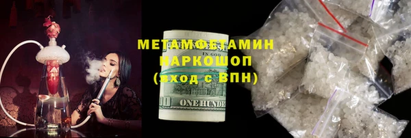 индика Сатка