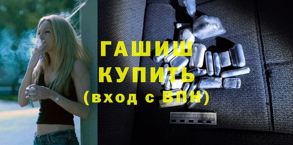 индика Сатка