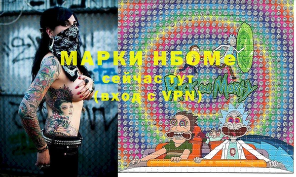 индика Сатка