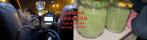 индика Сатка