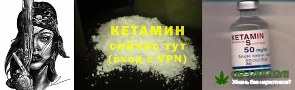 индика Сатка