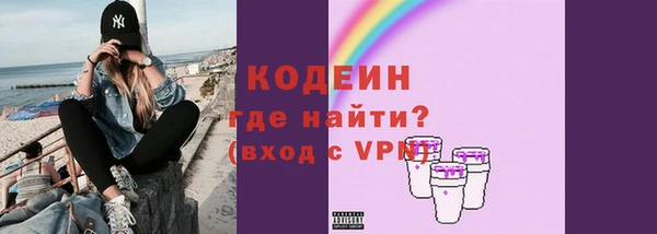 индика Сатка