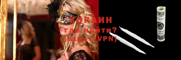 индика Сатка