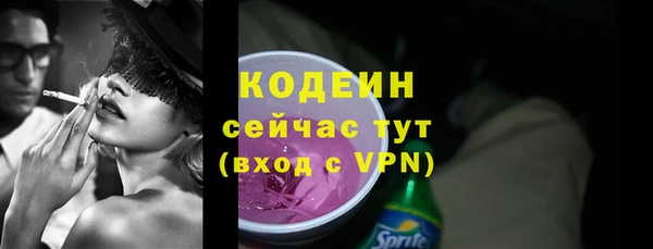 индика Сатка