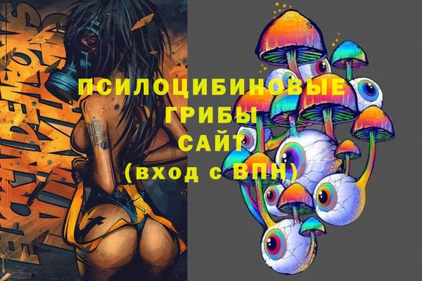индика Сатка