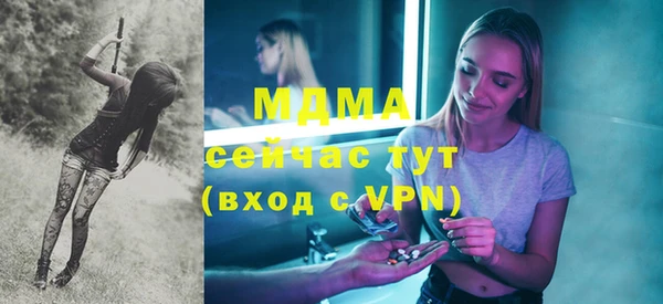 индика Сатка
