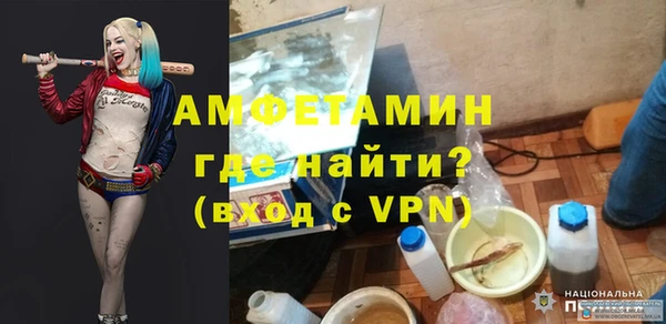 индика Сатка