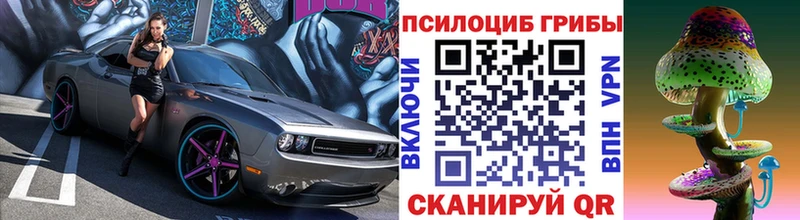 Галлюциногенные грибы Cubensis  Купить  Ленинск-Кузнецкий 